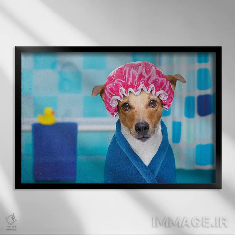 تابلو سگ در دوش یا اسپا اثر دَمِدیزو - نمای قابدار مشکی