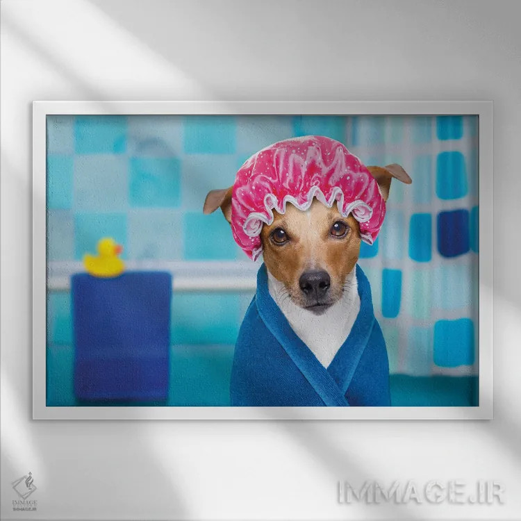 تابلو سگ در دوش یا اسپا اثر دَمِدیزو - نمای قابدار سفید