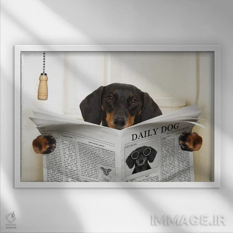 تابلو سگ روی توالت در حال خواندن روزنامه III اثر دَمِدیزو - نمای قابدار سفید