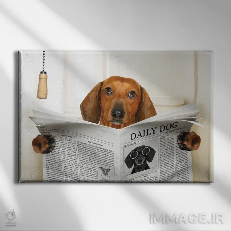 تابلو سگ نشسته روی توالت اثر دَمِدیزو - نمای روبهرو روی دیوار