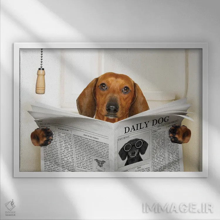 تابلو سگ نشسته روی توالت اثر دَمِدیزو - نمای قابدار سفید