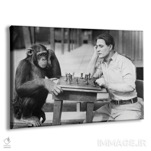 تابلو مردی که با میمون شطرنج بازی میکند اثر اورِت ۲۲۵ - نمای پرسپکتیو محصول