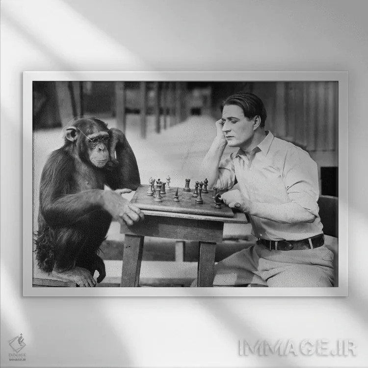 تابلو مردی که با میمون شطرنج بازی میکند اثر اورِت ۲۲۵ - نمای قابدار سفید