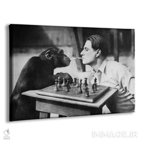 تابلو مرد جوان و یک شامپانزه که سیگار میکشند و شطرنج بازی میکنند اثر اورِت ۲۲۵ - نمای پرسپکتیو محصول