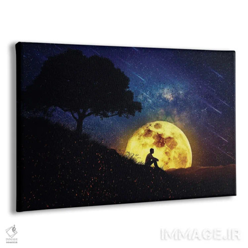 تابلو قدرت شفابخش طبیعت در شب اثر سایکوشَدو (نام کاربری/نام هنری) - نمای پرسپکتیو محصول