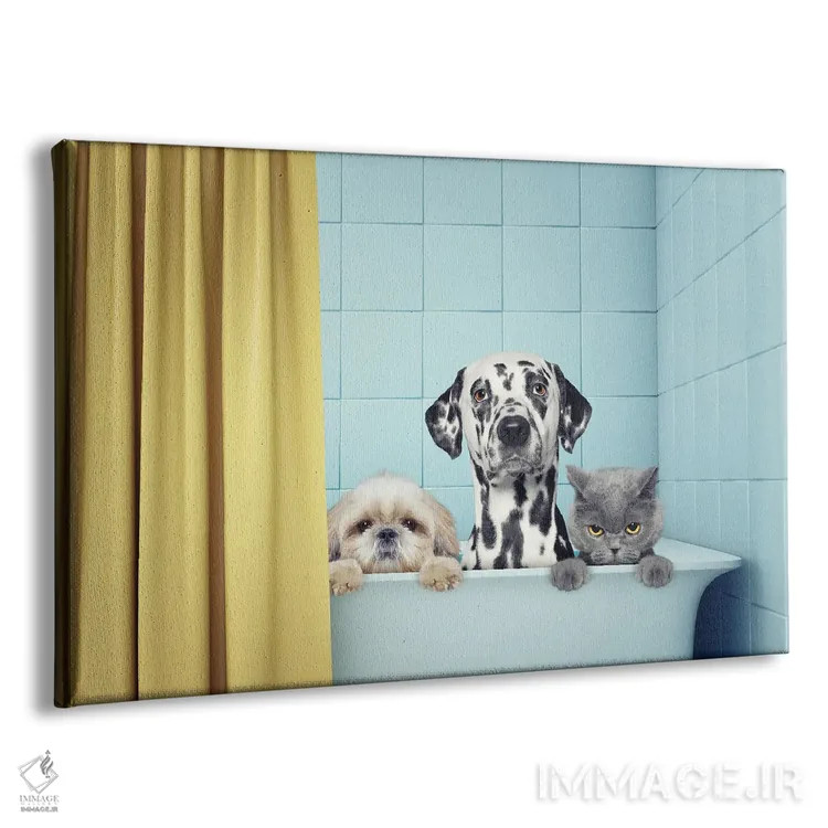 تابلو دو سگ و یک گربه در حمام اثر هلگا۱۹۸۱ (هنرمند دیجیتال) - نمای پرسپکتیو محصول