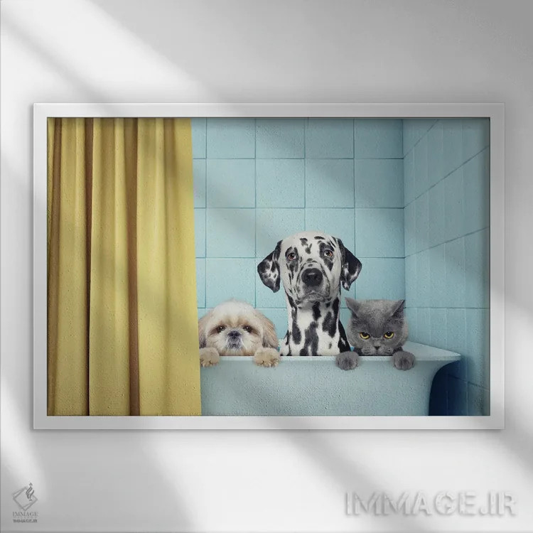 تابلو دو سگ و یک گربه در حمام اثر هلگا۱۹۸۱ (هنرمند دیجیتال) - نمای قابدار سفید