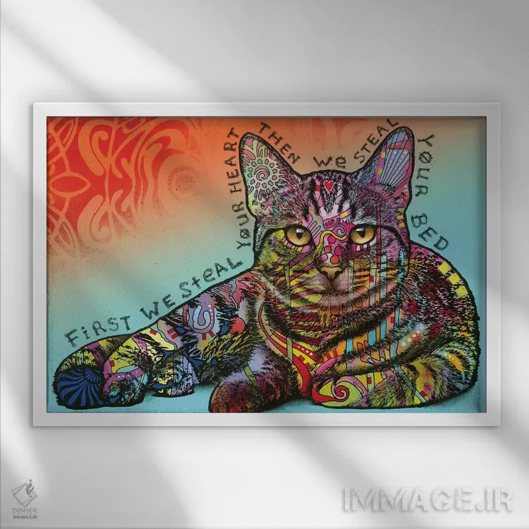 تابلو تخت خوابت را بدزد اثر باور روسو - نمای قابدار سفید