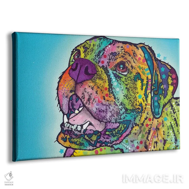 تابلو باکسر خندان (نژاد سگ) اثر باور روسو - نمای پرسپکتیو محصول