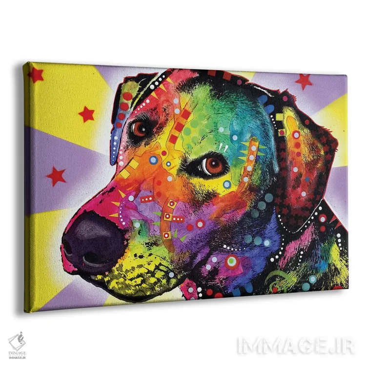 تابلو لبرادور نسبتاً زرد اثر باور روسو - نمای پرسپکتیو محصول