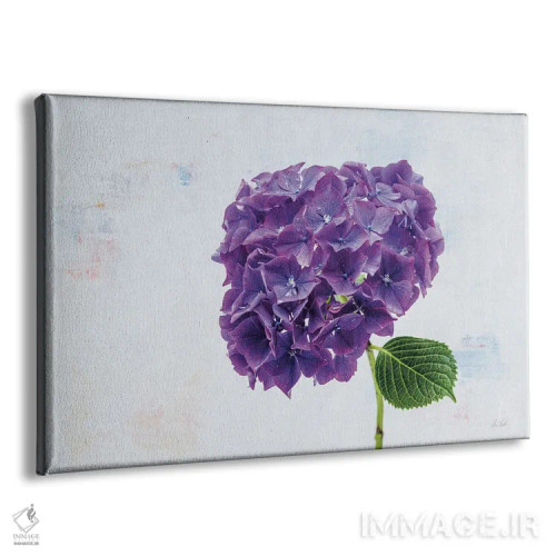 تابلو هورتانس بنفش روشن (نوع گل) اثر دبورا رِوِل - نمای پرسپکتیو محصول