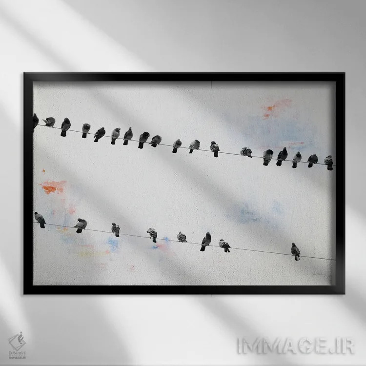 تابلو پرندگان روی سیم اثر دبورا رِوِل - نمای قابدار مشکی