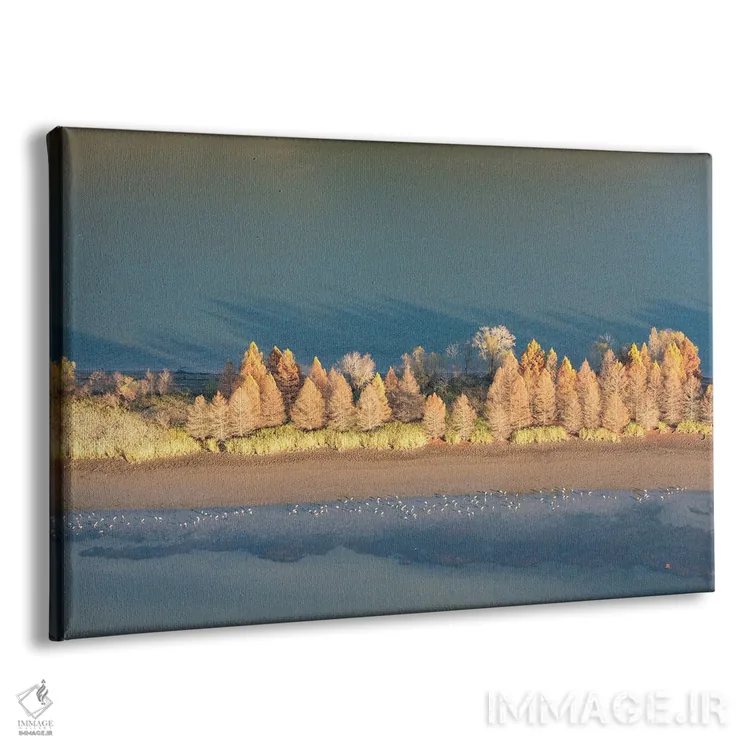 تابلو آمریکا، تنسی. نور عصرگاهی رودخانه تنسی، پناهگاه حیاتوحش هیواسی. غذایابی درناهای سندهیل کنار کنارههای نمایان اثر تریش دروی - نمای پرسپکتیو محصول