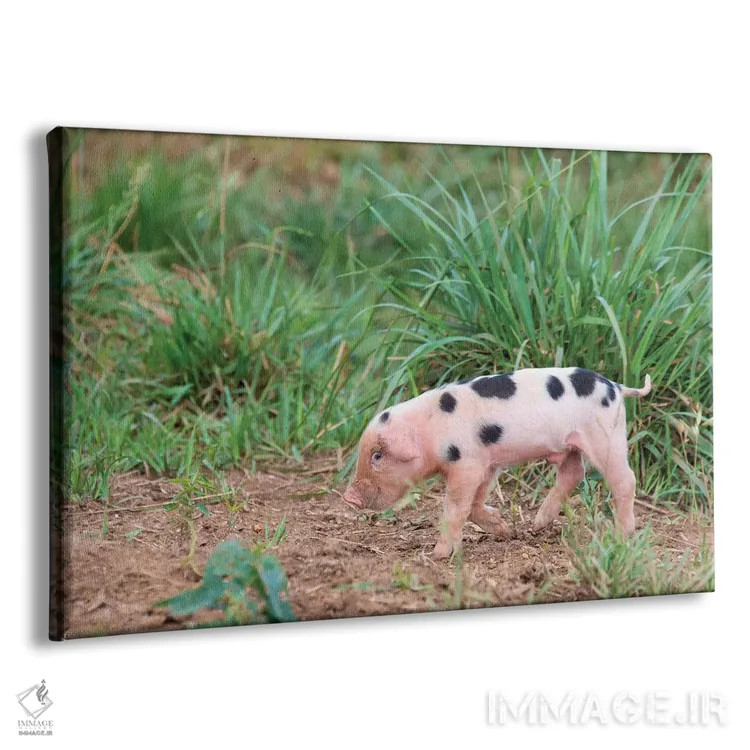 تابلو آمریکا، تنسی. خرس کوچک زیرکانه لبخند میزند اثر تریش دروی - نمای پرسپکتیو محصول