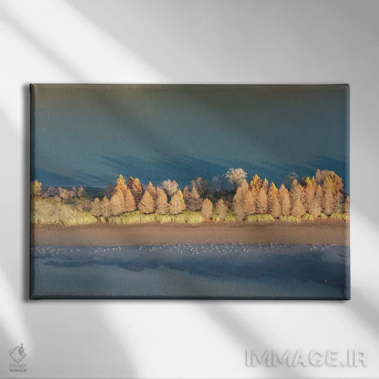 تابلو آمریکا، تنسی. نور عصرگاهی رودخانه تنسی، پناهگاه حیاتوحش هیواسی. غذایابی درناهای سندهیل کنار کنارههای نمایان اثر تریش دروی - نمای روبهرو روی دیوار