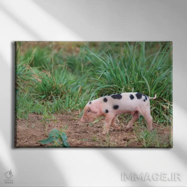 تابلو آمریکا، تنسی. خرس کوچک زیرکانه لبخند میزند اثر تریش دروی - نمای روبهرو روی دیوار