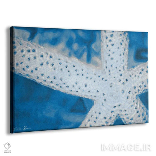 تابلو ستارهماهی اثر دنیس براون - نمای پرسپکتیو محصول