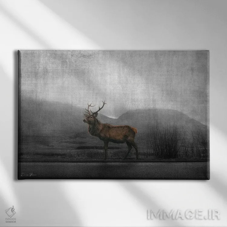 تابلو تماشا اثر دنیس براون - نمای روبهرو روی دیوار