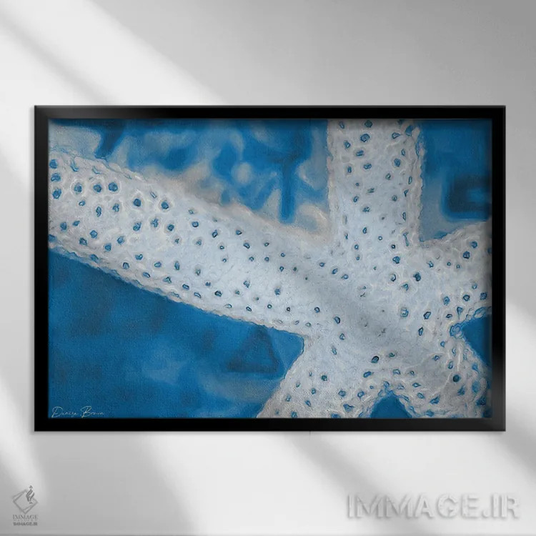 تابلو ستارهماهی اثر دنیس براون - نمای قابدار مشکی