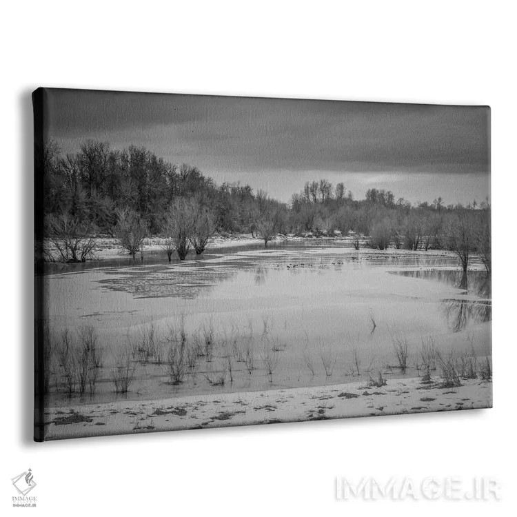 تابلو باتلاق زمستانی ۲ اثر دان شوارتز - نمای پرسپکتیو محصول