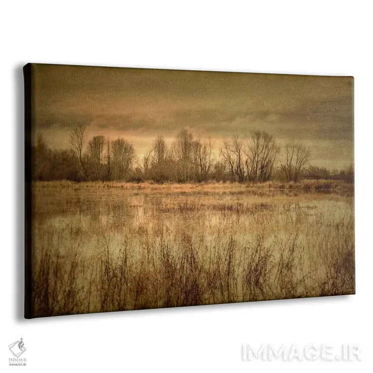 تابلو باتلاق زمستانی ۱ اثر دان شوارتز - نمای پرسپکتیو محصول