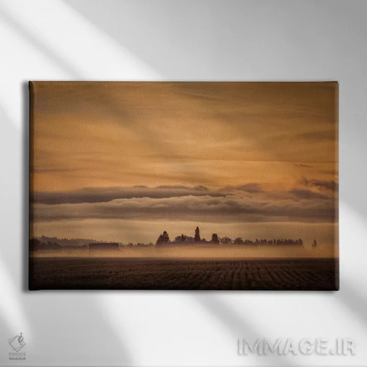 تابلو بیداری اثر دان شوارتز - نمای روبهرو روی دیوار