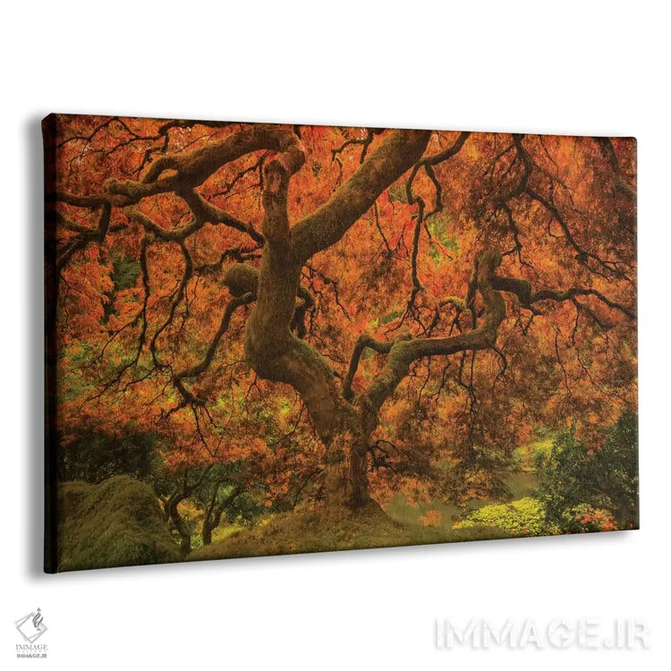 تابلو افرا درخشان ۲ اثر دان شوارتز - نمای پرسپکتیو محصول