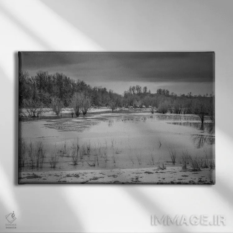 تابلو باتلاق زمستانی ۲ اثر دان شوارتز - نمای روبهرو روی دیوار