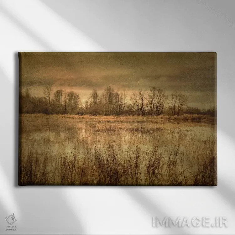 تابلو باتلاق زمستانی ۱ اثر دان شوارتز - نمای روبهرو روی دیوار