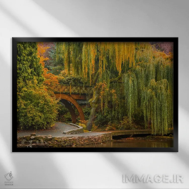 تابلو بیدهای کنار تالاب اثر دان شوارتز - نمای قابدار مشکی