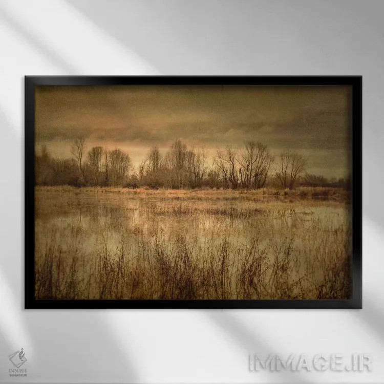 تابلو باتلاق زمستانی ۱ اثر دان شوارتز - نمای قابدار مشکی