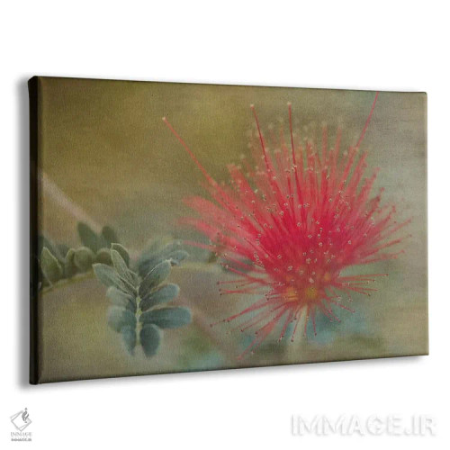 تابلو گردگیر پری باخا (گیاه خاص آمریکای مرکزی) اثر دان شوارتز - نمای پرسپکتیو محصول