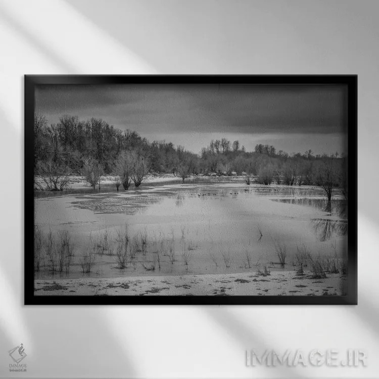 تابلو باتلاق زمستانی ۲ اثر دان شوارتز - نمای قابدار مشکی