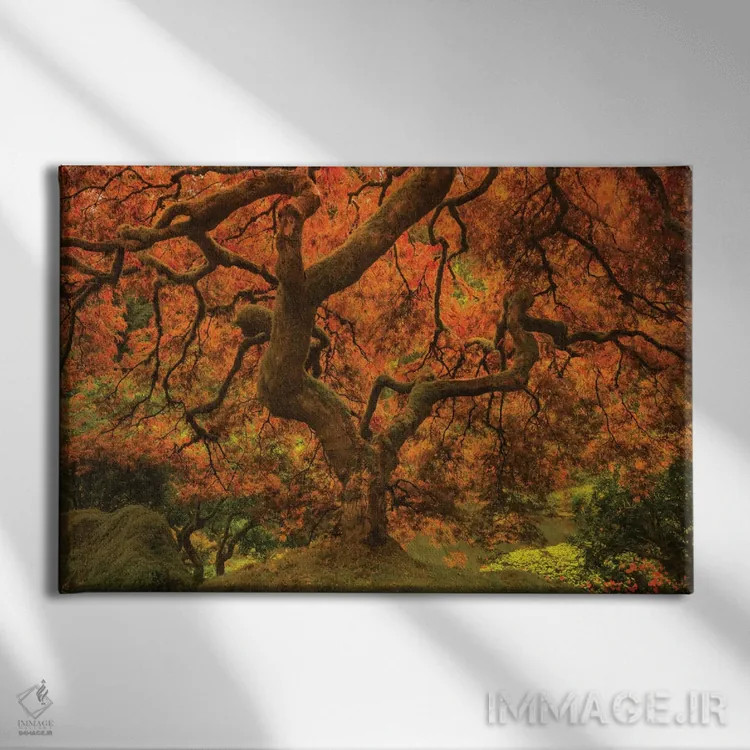 تابلو افرا درخشان ۲ اثر دان شوارتز - نمای روبهرو روی دیوار