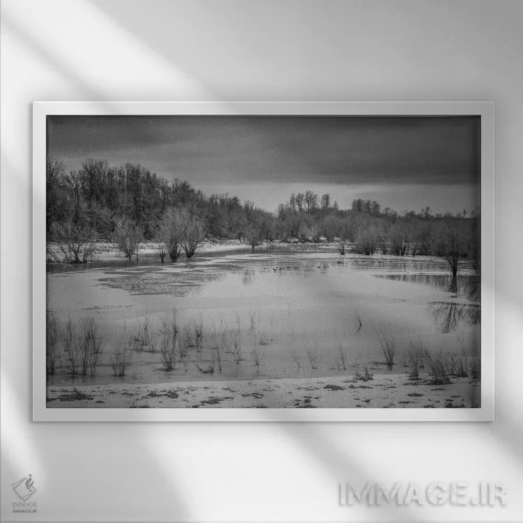 تابلو باتلاق زمستانی ۲ اثر دان شوارتز - نمای قابدار سفید