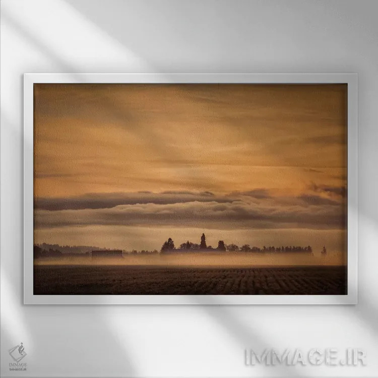 تابلو بیداری اثر دان شوارتز - نمای قابدار سفید