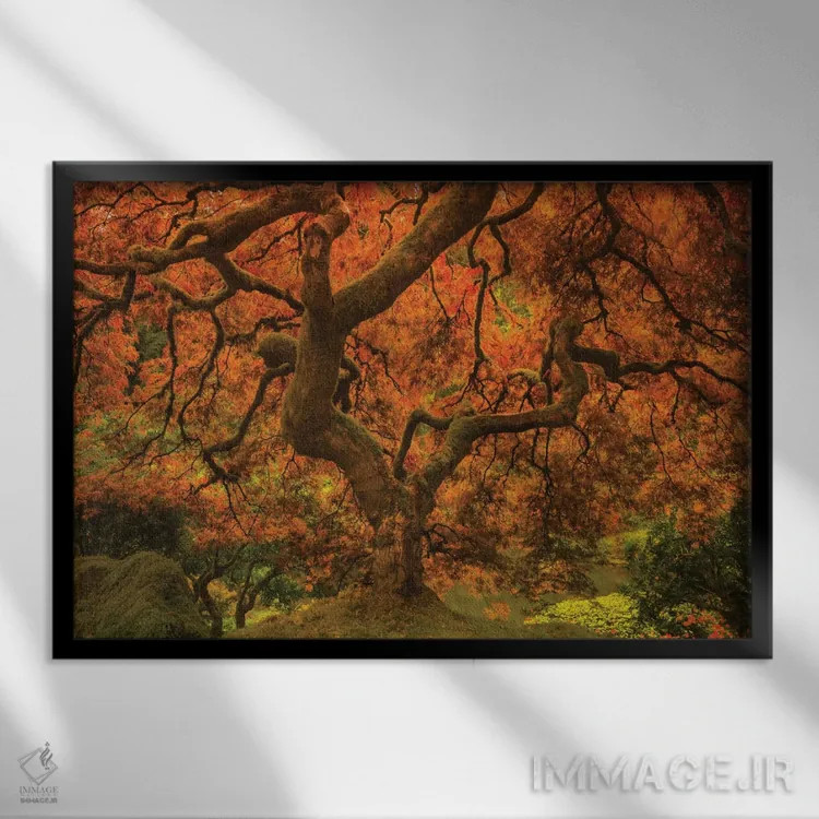 تابلو افرا درخشان ۲ اثر دان شوارتز - نمای قابدار مشکی