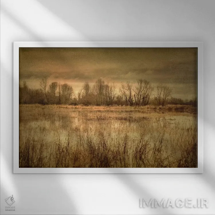 تابلو باتلاق زمستانی ۱ اثر دان شوارتز - نمای قابدار سفید