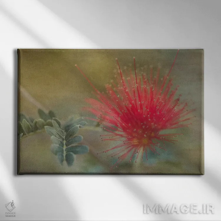 تابلو گردگیر پری باخا (گیاه خاص آمریکای مرکزی) اثر دان شوارتز - نمای روبهرو روی دیوار