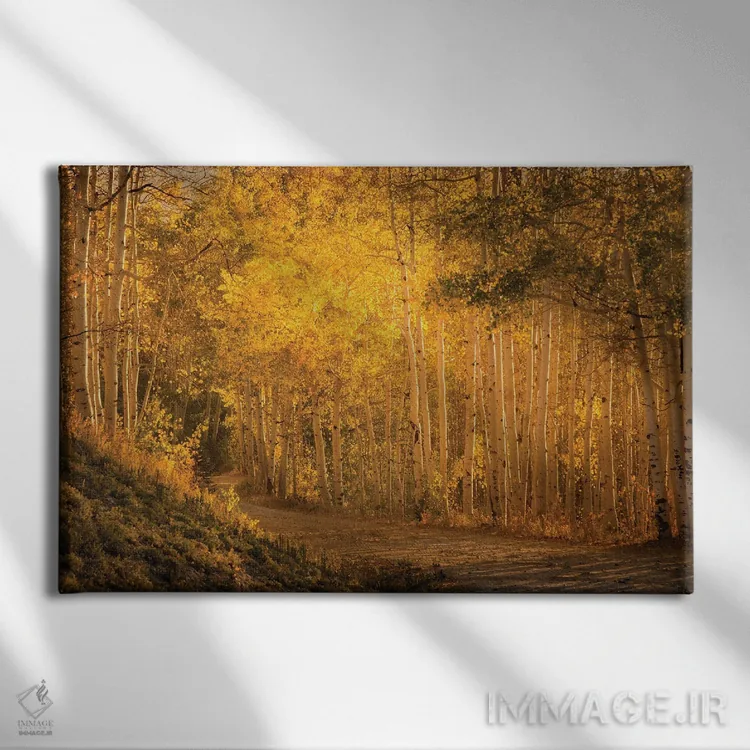 تابلو صنوبرها در غروب کمرنگ اثر دان شوارتز - نمای روبهرو روی دیوار