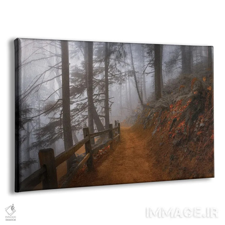 تابلو مه پاییزی در جنگل اثر دان شوارتز - نمای پرسپکتیو محصول