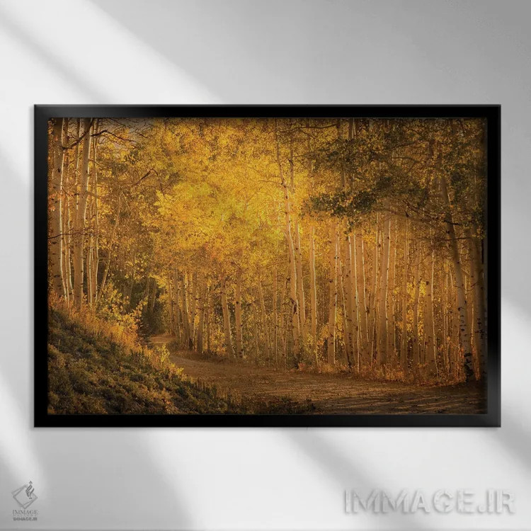 تابلو صنوبرها در غروب کمرنگ اثر دان شوارتز - نمای قابدار مشکی