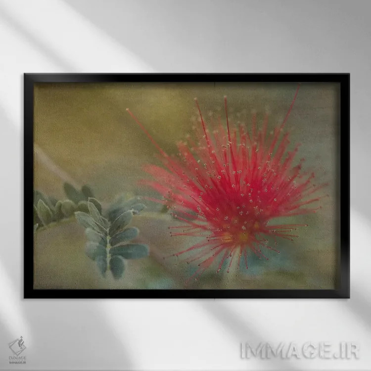 تابلو گردگیر پری باخا (گیاه خاص آمریکای مرکزی) اثر دان شوارتز - نمای قابدار مشکی