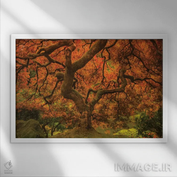 تابلو افرا درخشان ۲ اثر دان شوارتز - نمای قابدار سفید