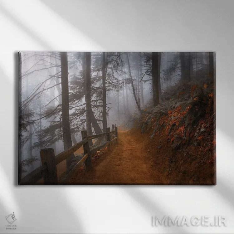 تابلو مه پاییزی در جنگل اثر دان شوارتز - نمای روبهرو روی دیوار