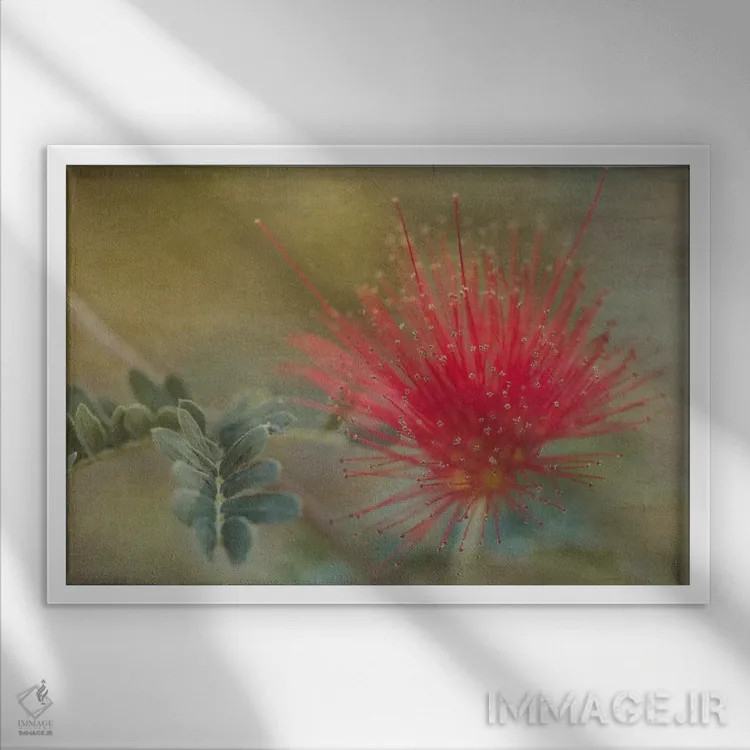 تابلو گردگیر پری باخا (گیاه خاص آمریکای مرکزی) اثر دان شوارتز - نمای قابدار سفید