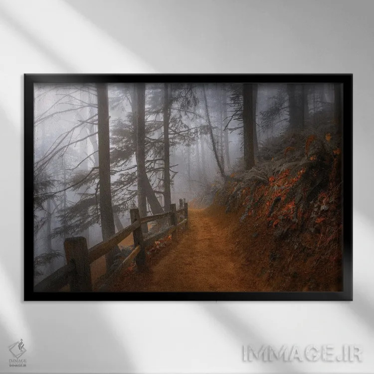 تابلو مه پاییزی در جنگل اثر دان شوارتز - نمای قابدار مشکی