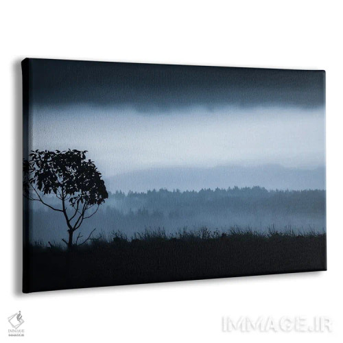 تابلو درخت تنها در واشن (جزیرهٔ واشن) اثر دان شوارتز - نمای پرسپکتیو محصول