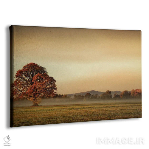 تابلو دریافت مه اثر دان شوارتز - نمای پرسپکتیو محصول