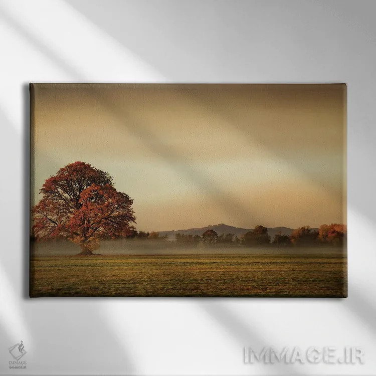 تابلو دریافت مه اثر دان شوارتز - نمای روبهرو روی دیوار